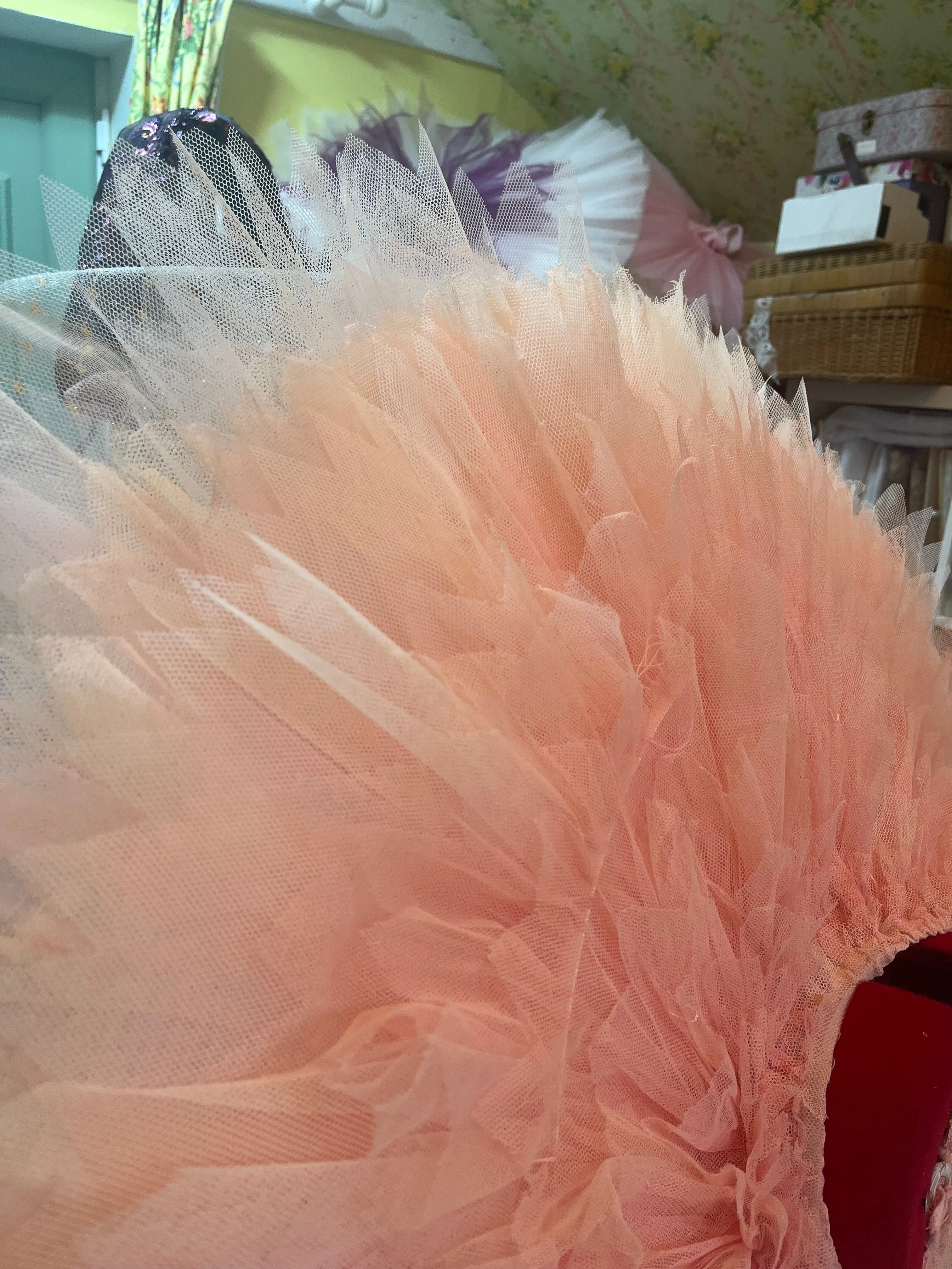 The perfect princess tutu - Hire only